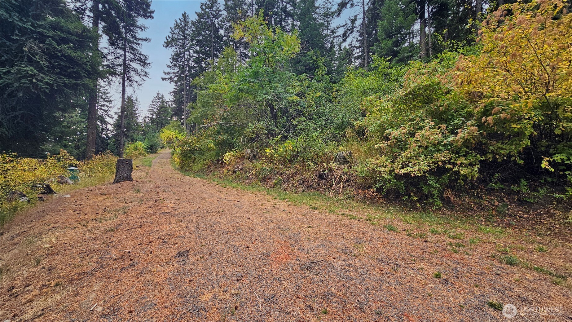 0 Skull Springs Road Cle Elum WA 98922