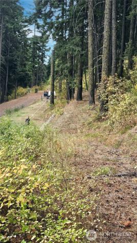 0 Skull Springs Road Cle Elum WA 98922