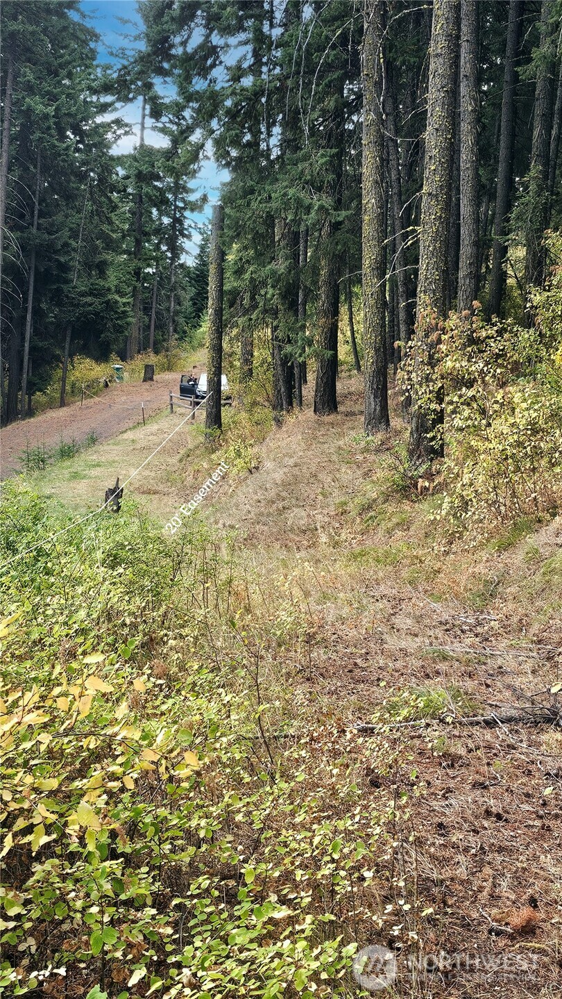 0 Skull Springs Road Cle Elum WA 98922