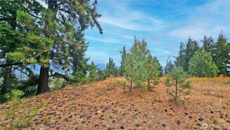 0 Skull Springs Road Cle Elum WA 98922