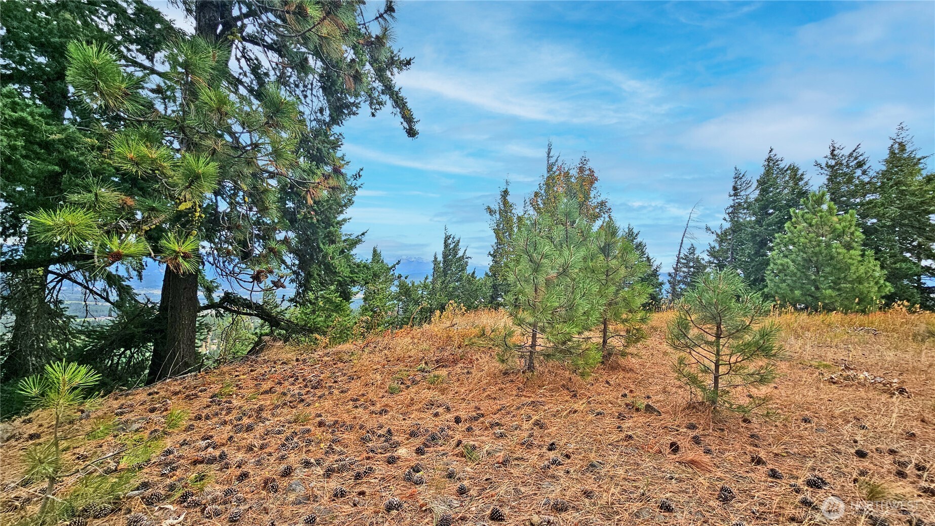 0 Skull Springs Road Cle Elum WA 98922