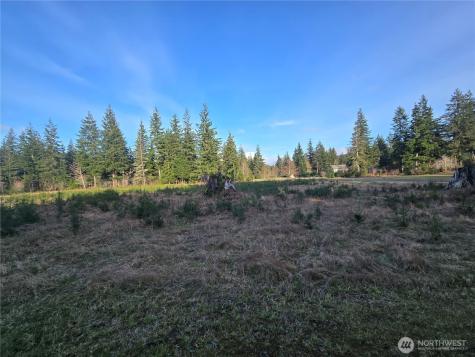9999 Sawyer Way Forks WA 98331
