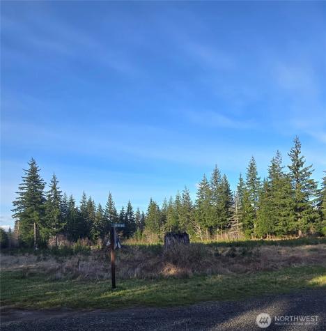 9999 Sawyer Way Forks WA 98331