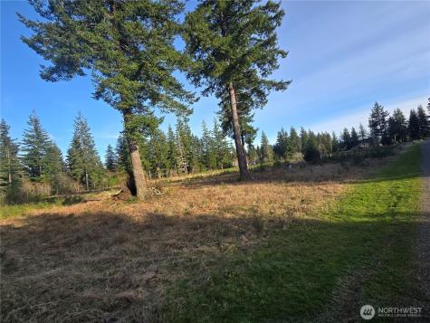 9999 Sawyer Way Forks WA 98331