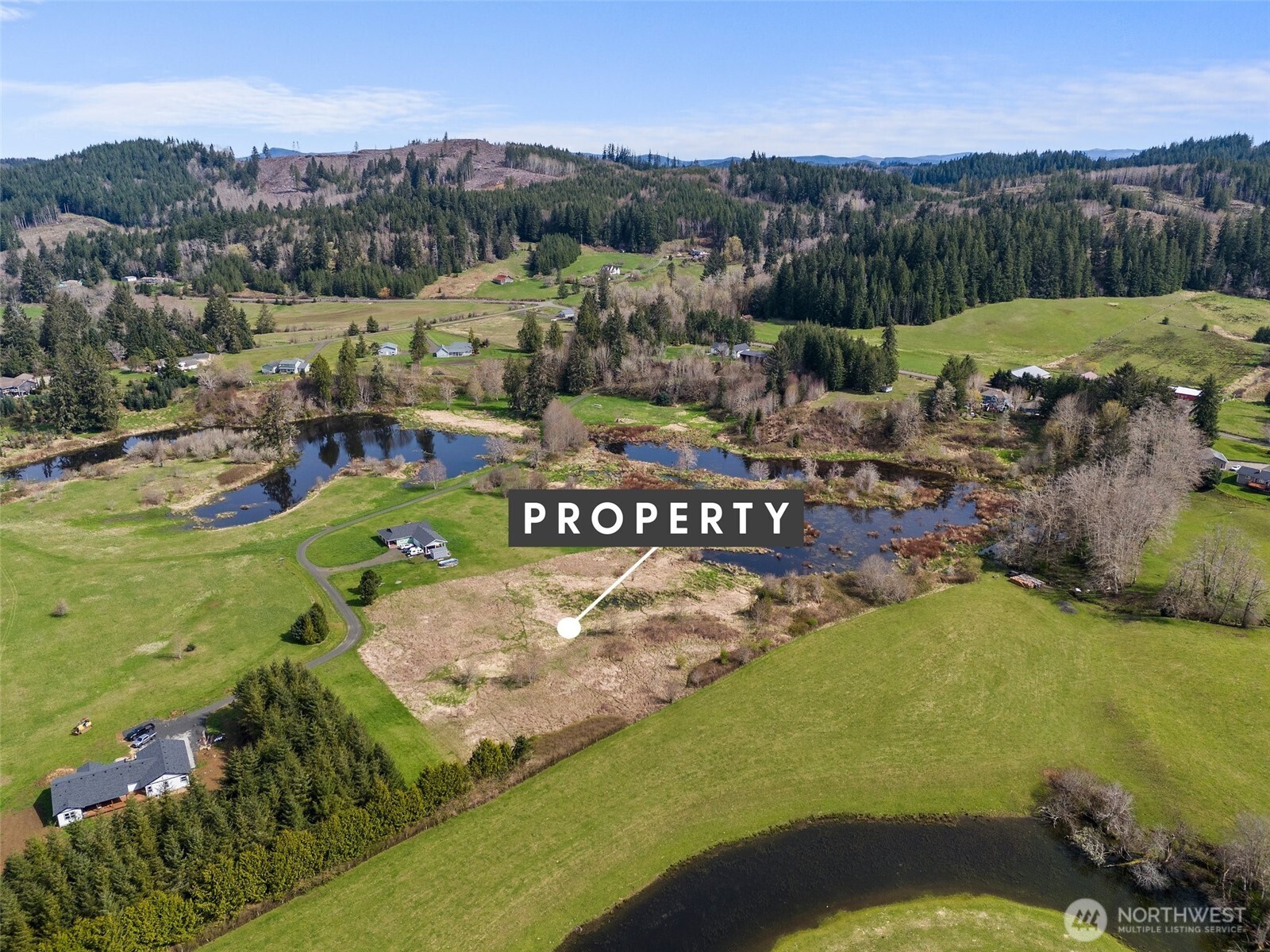 0 X Lilly Wheaton Road Raymond WA 98577