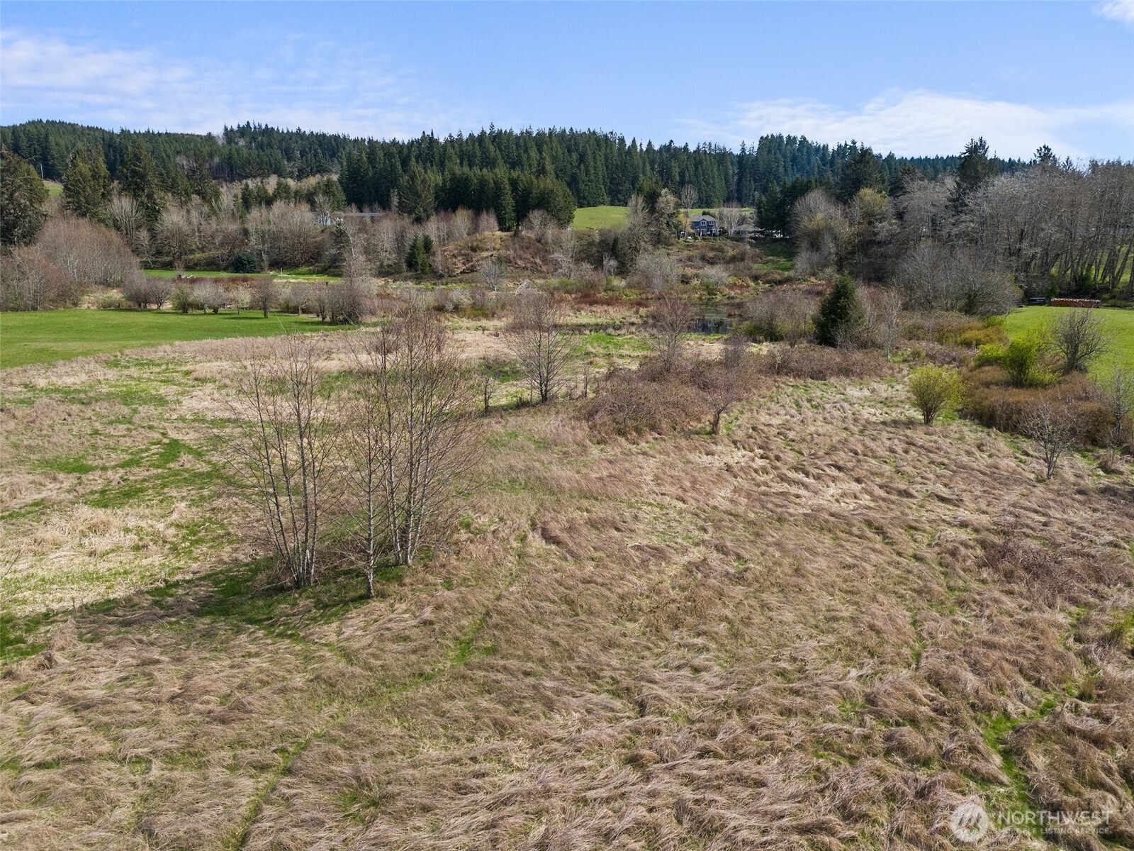 0 X Lilly Wheaton Road Raymond WA 98577