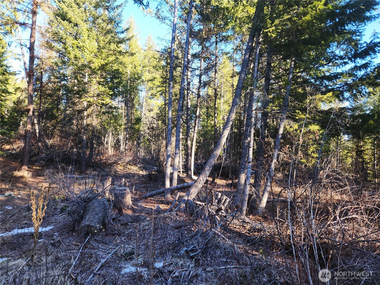318 Rockabye Lane Curlew WA 99118