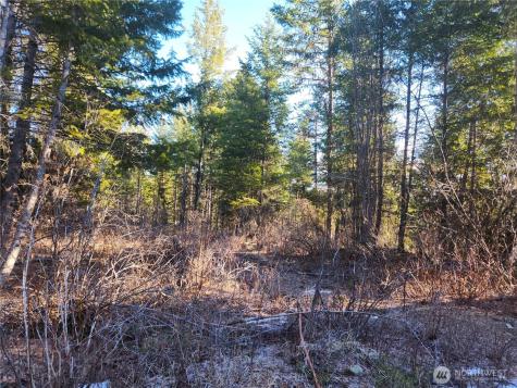 318 Rockabye Lane Curlew WA 99118