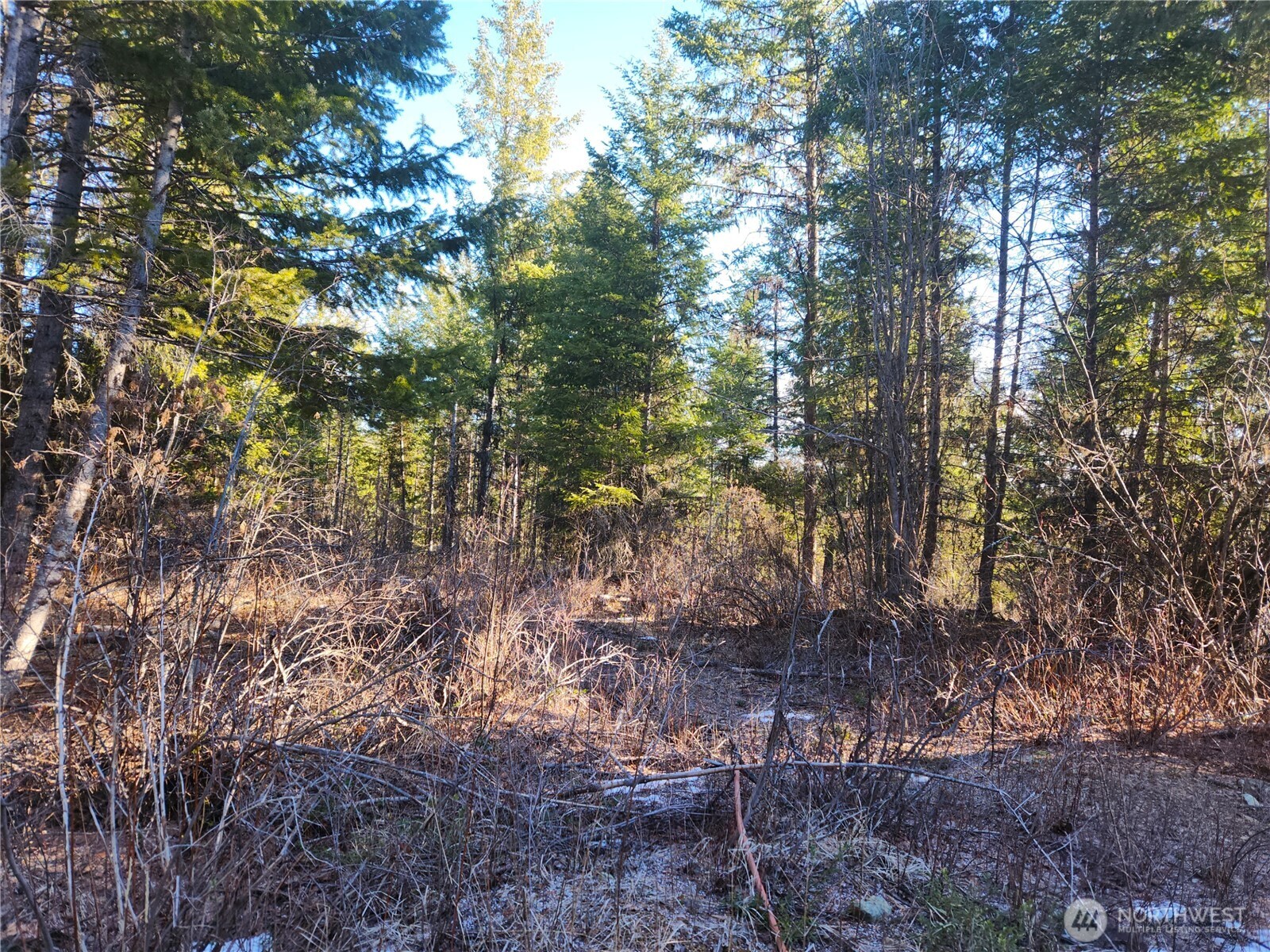 318 Rockabye Lane Curlew WA 99118