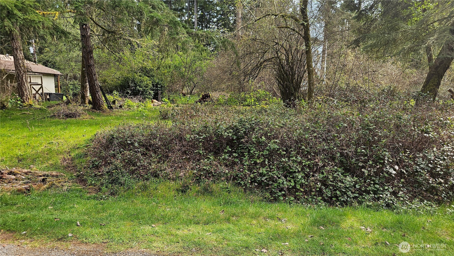 10608 Suncrest Drive Anderson Island WA 98303