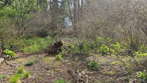 10608 Suncrest Drive Anderson Island WA 98303