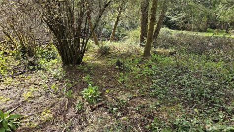 10608 Suncrest Drive Anderson Island WA 98303
