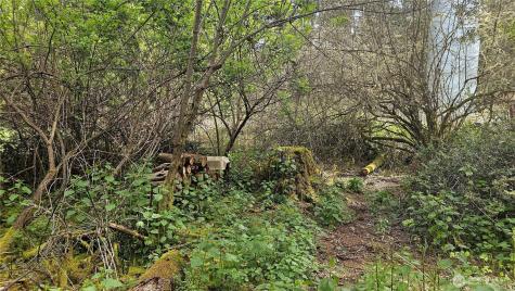 10608 Suncrest Drive Anderson Island WA 98303