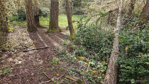 10608 Suncrest Drive Anderson Island WA 98303