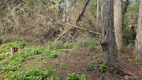10608 Suncrest Drive Anderson Island WA 98303