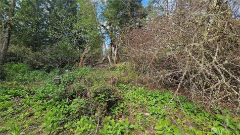 10608 Suncrest Drive Anderson Island WA 98303