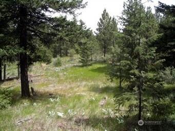 0 Mule Deer Road Waterville WA 98858