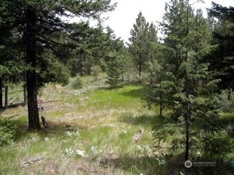 0 Mule Deer Road Waterville WA 98858