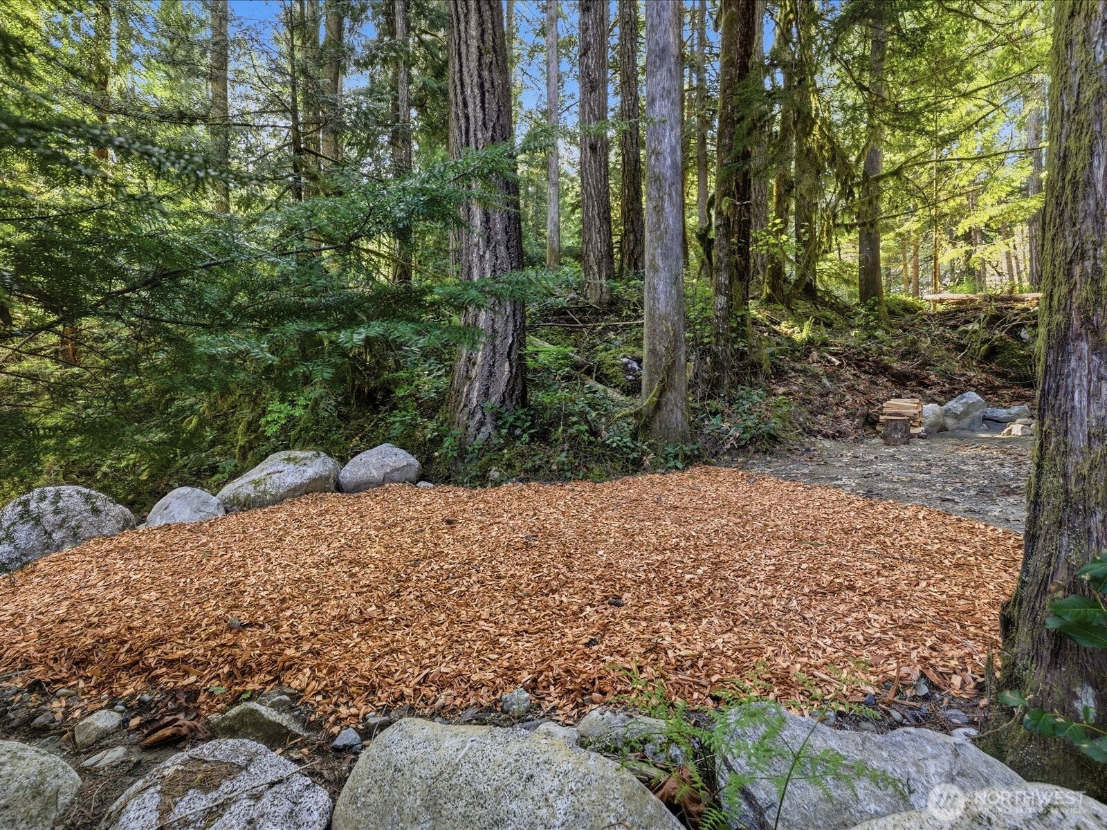 63424 W Cascade Way Marblemount WA 98267