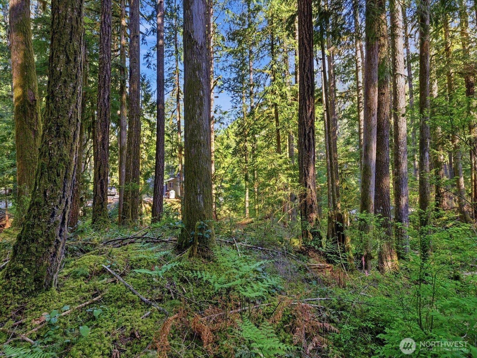 63424 W Cascade Way Marblemount WA 98267