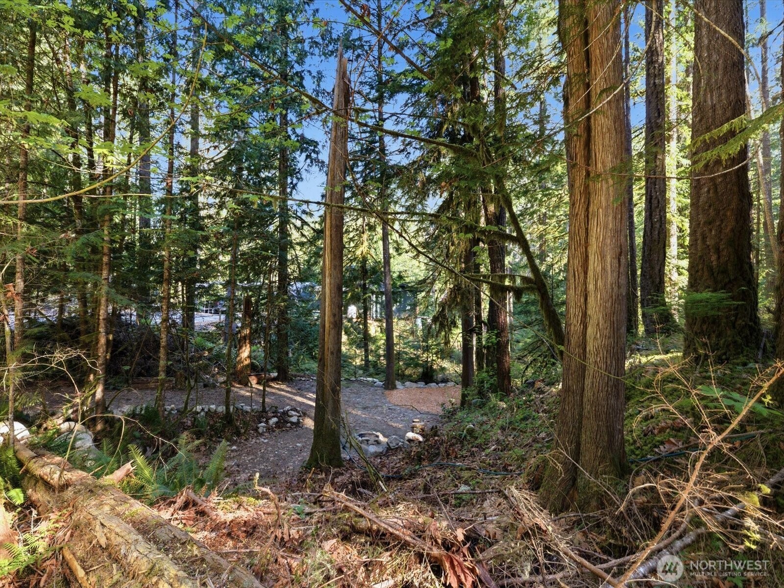 63424 W Cascade Way Marblemount WA 98267
