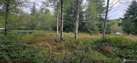 1351 Satsop Road W Montesano WA 98563