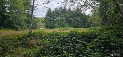 1351 Satsop Road W Montesano WA 98563