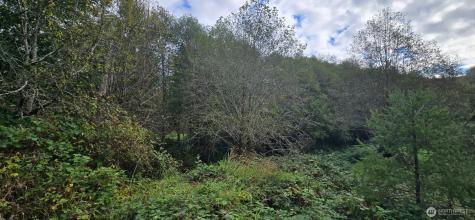 1351 Satsop Road W Montesano WA 98563