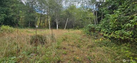 1351 Satsop Road W Montesano WA 98563