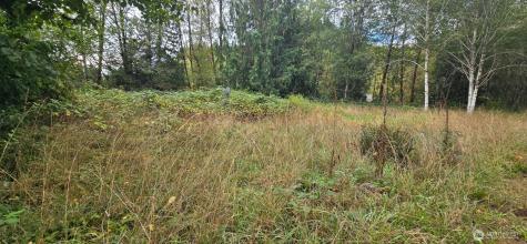 1351 Satsop Road W Montesano WA 98563