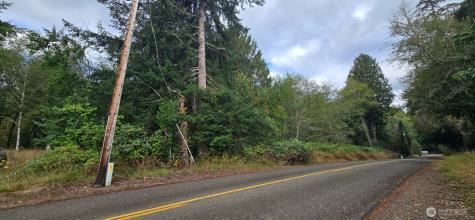 1351 Satsop Road W Montesano WA 98563