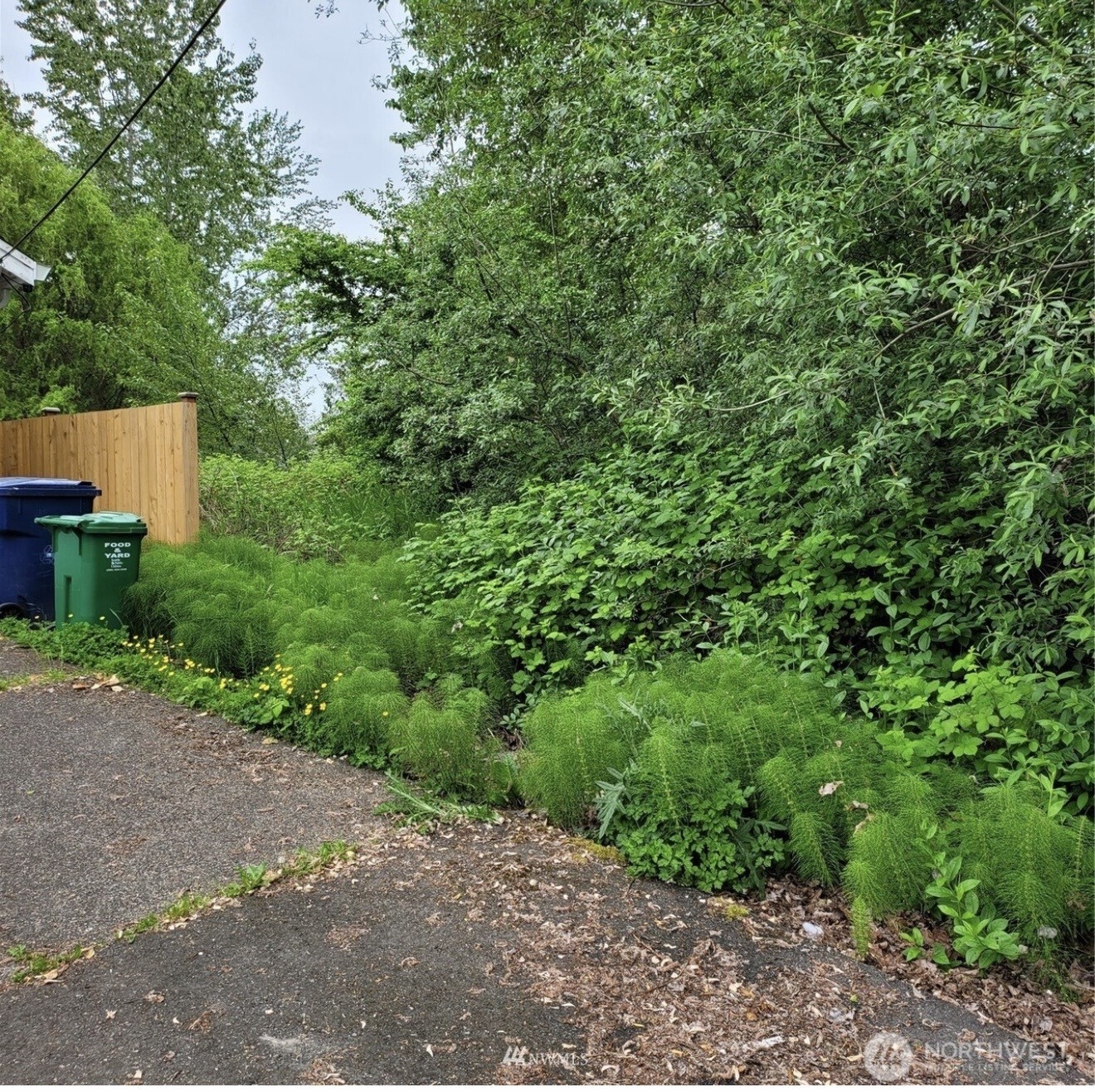 8824 3rd Ave S Seattle WA 98108