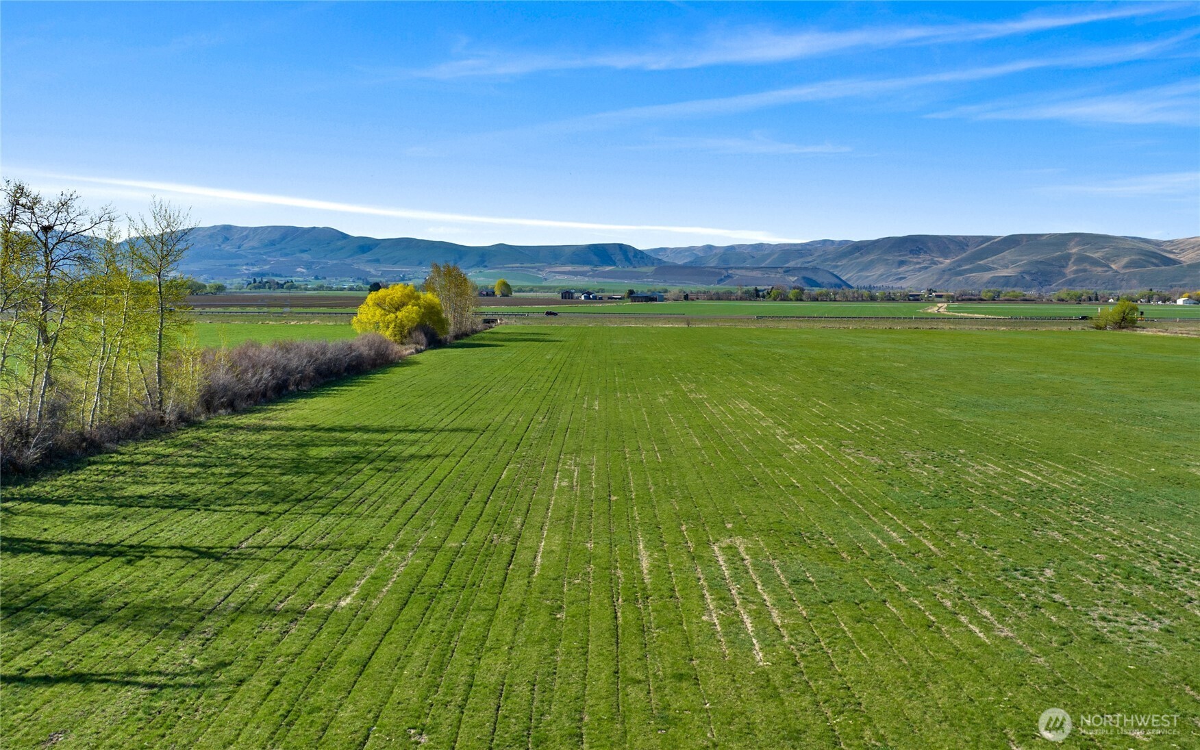 5 Rein Road Ellensburg WA 98926