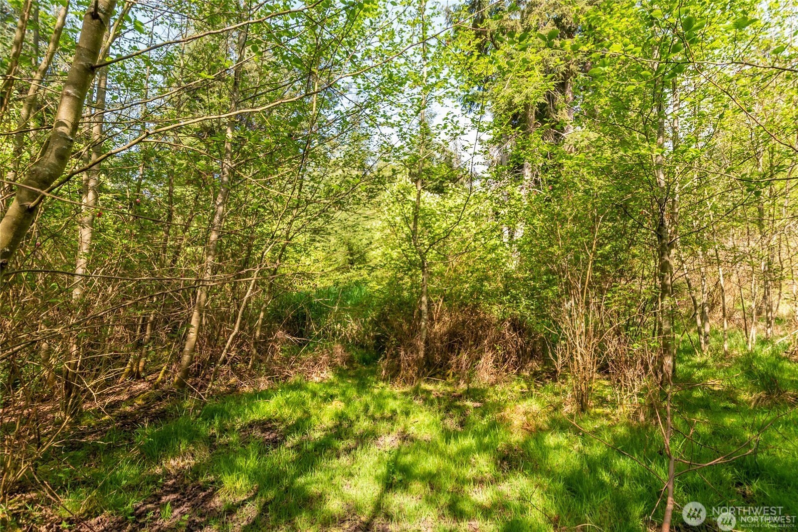 0 0 Teronda Drive Coupeville WA 98239