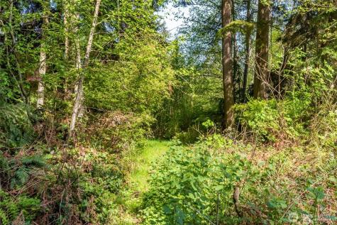 0 0 Teronda Drive Coupeville WA 98239