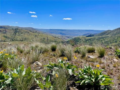 436 Antoine Creek Road Chelan WA 98816