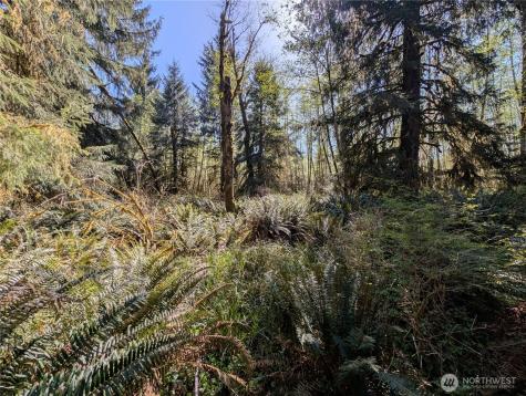999 Hoh River Park Drive Forks WA 98331