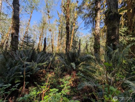 999 Hoh River Park Drive Forks WA 98331