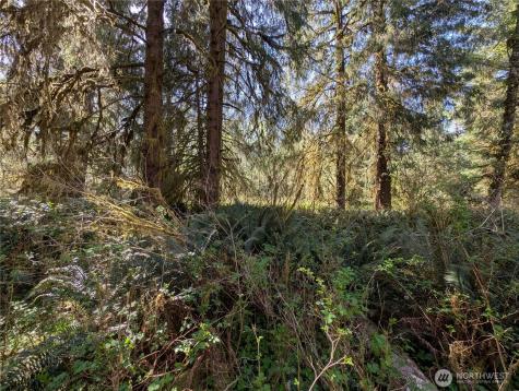 999 Hoh River Park Drive Forks WA 98331