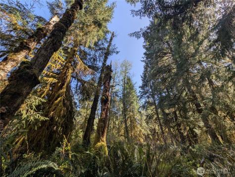 999 Hoh River Park Drive Forks WA 98331