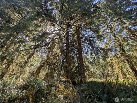 999 Hoh River Park Drive Forks WA 98331