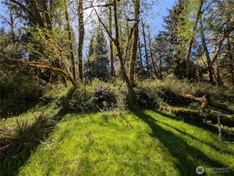 999 Hoh River Park Drive Forks WA 98331