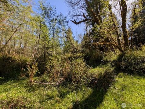 999 Hoh River Park Drive Forks WA 98331