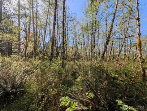999 Hoh River Park Drive Forks WA 98331