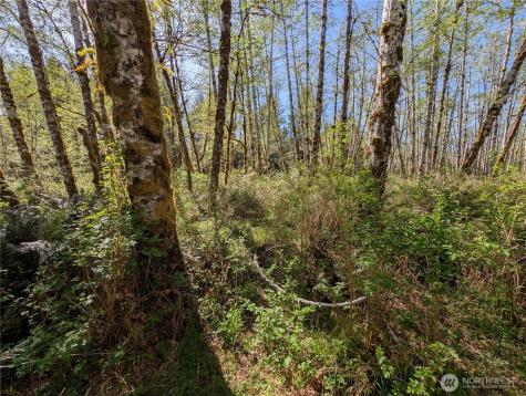 999 Hoh River Park Drive Forks WA 98331