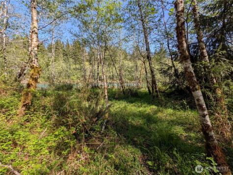 999 Hoh River Park Drive Forks WA 98331