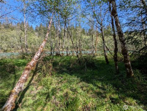 999 Hoh River Park Drive Forks WA 98331