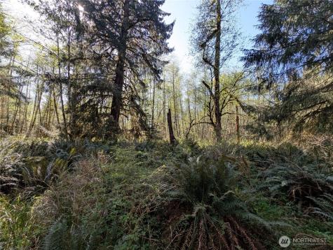 999 Hoh River Park Drive Forks WA 98331