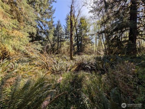 999 Hoh River Park Drive Forks WA 98331