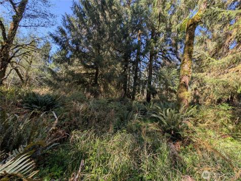 999 Hoh River Park Drive Forks WA 98331